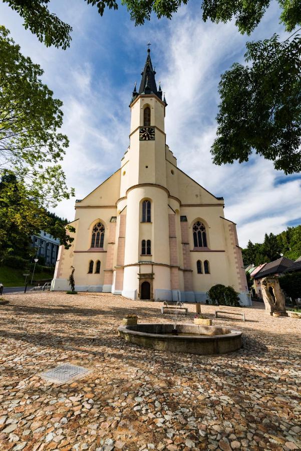 Apartman Krystof - Jáchymov Zewnętrze zdjęcie